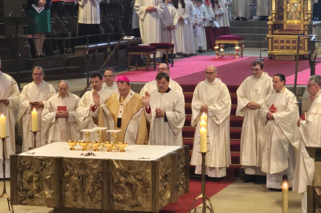 Diakonenweihe im Bamberger Dom, 26.10.2024